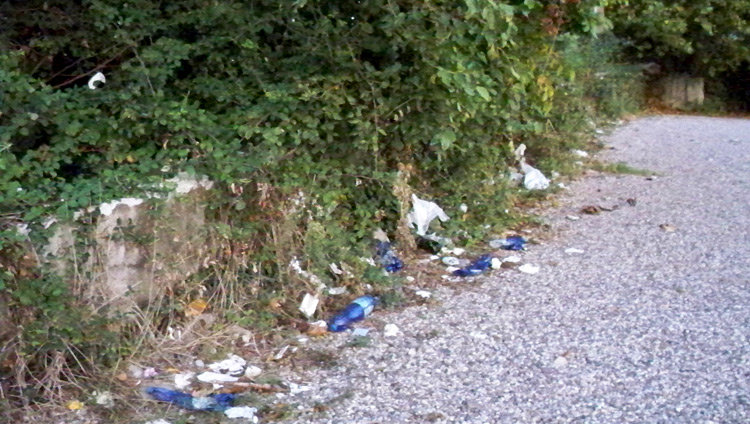 Gara ponte per la gestione del servizio di raccolta, trasporto rifiuti urbani e assimilati e servizi connessi nel territorio del Comune di Monte Sant’Angelo.