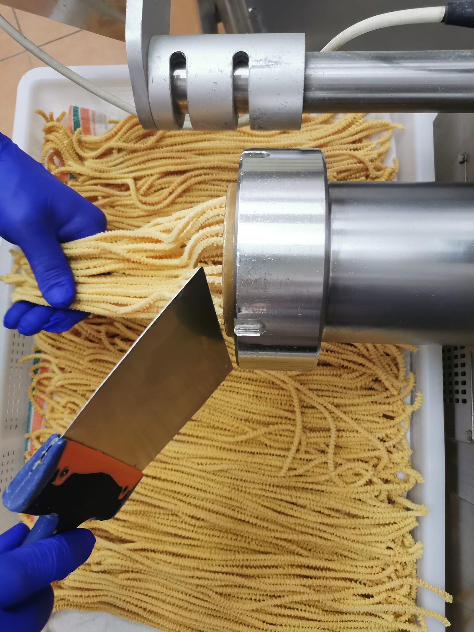 102917634_1587860444712629_3449755911000893841_o