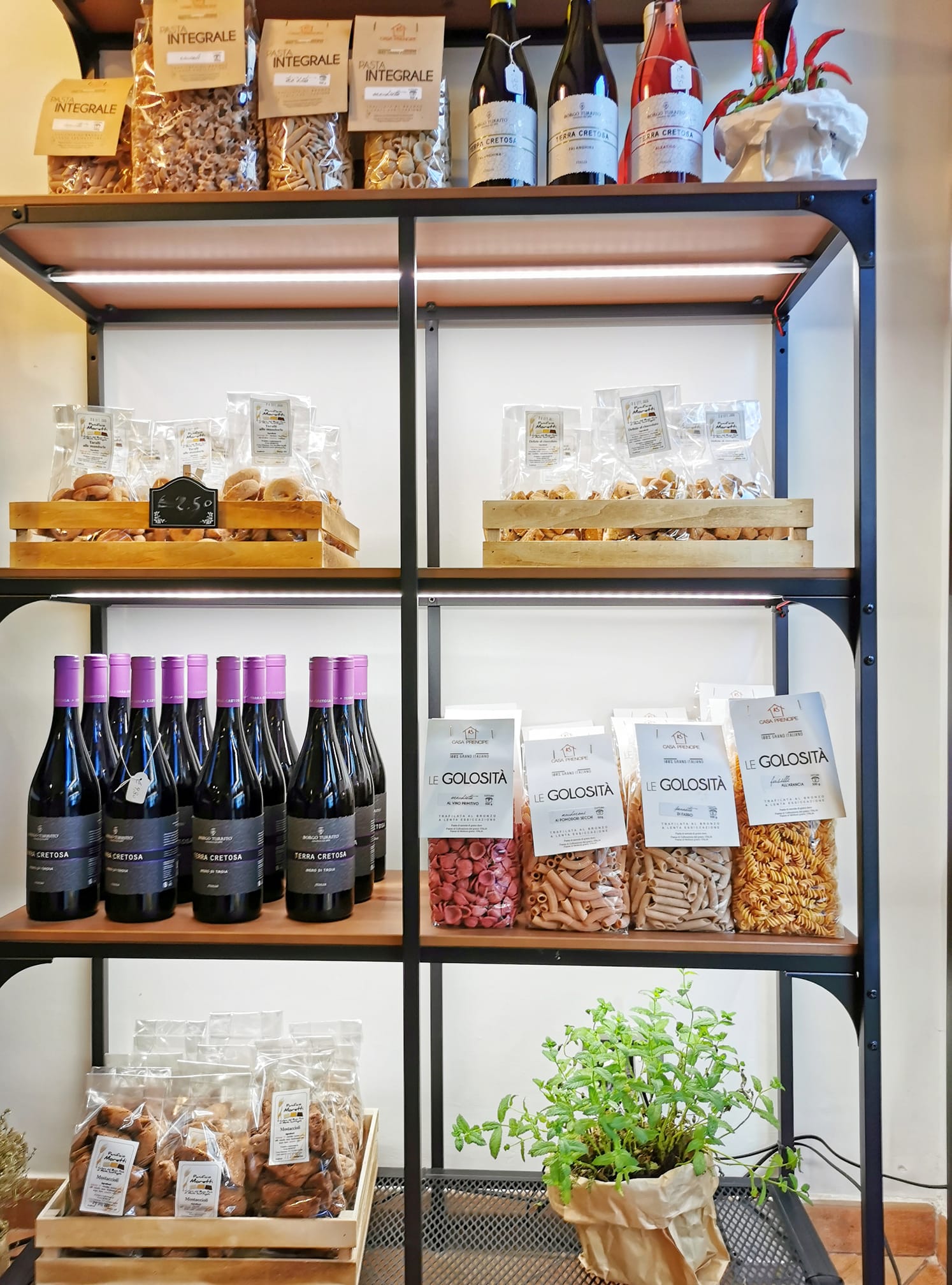 106459277_1608732819292058_8480415661706649506_o-1