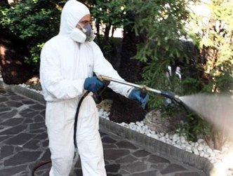 Intervento di disinfestazione adulticida nella frazione di macchia