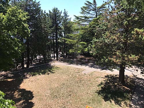 “Aree verdi come elemento qualificante del contesto urbano”: approvato il regolamento per la manutenzione e la cura anche da parte dei privati 