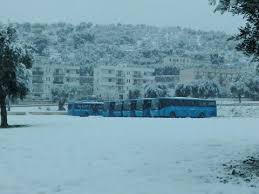 Attestato mancata partenza autobus di linea