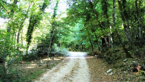 Procedura aperta per l'affidamento dei lavori di manutenzione di strade rurali comunali Cerrosaldo n. 283 e Bosco Quarto – bivio Faniello n. 289