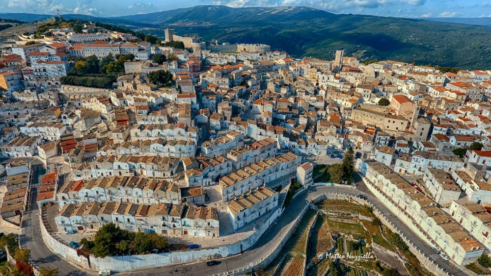 Procedura aperta telematica per l’affidamento dei lavori “manutenzione straordinaria della strada denominata Panoramica Sud”.